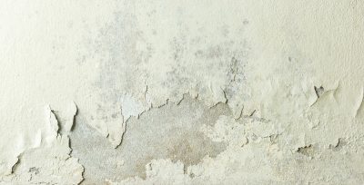 Symptoms of rising damp