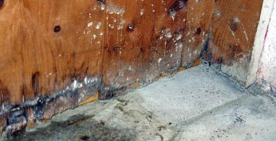 What Causes Wet Rot