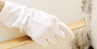 How to Deal with Dry Rot in London