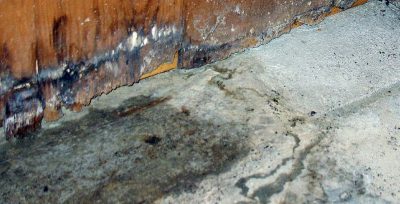 What is Wet Rot