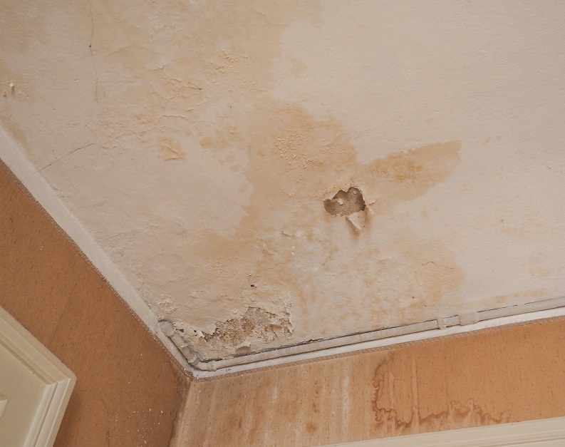 London Ceiling Damp Treatment Repair, How Much Does It Cost To Fix A Water Damaged Basement Ceiling